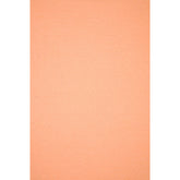 Hobby Vilt | lapje 20 x 30 cm | zalm roze Vilt VILT - PES - 2030 - ZALM - ROZE - 10